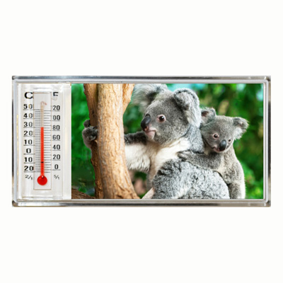 3D Thermometer Magnet Koala